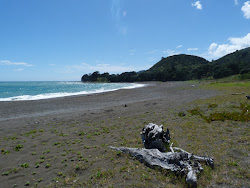Foto af Te Kaka Beach med turkis rent vand overflade