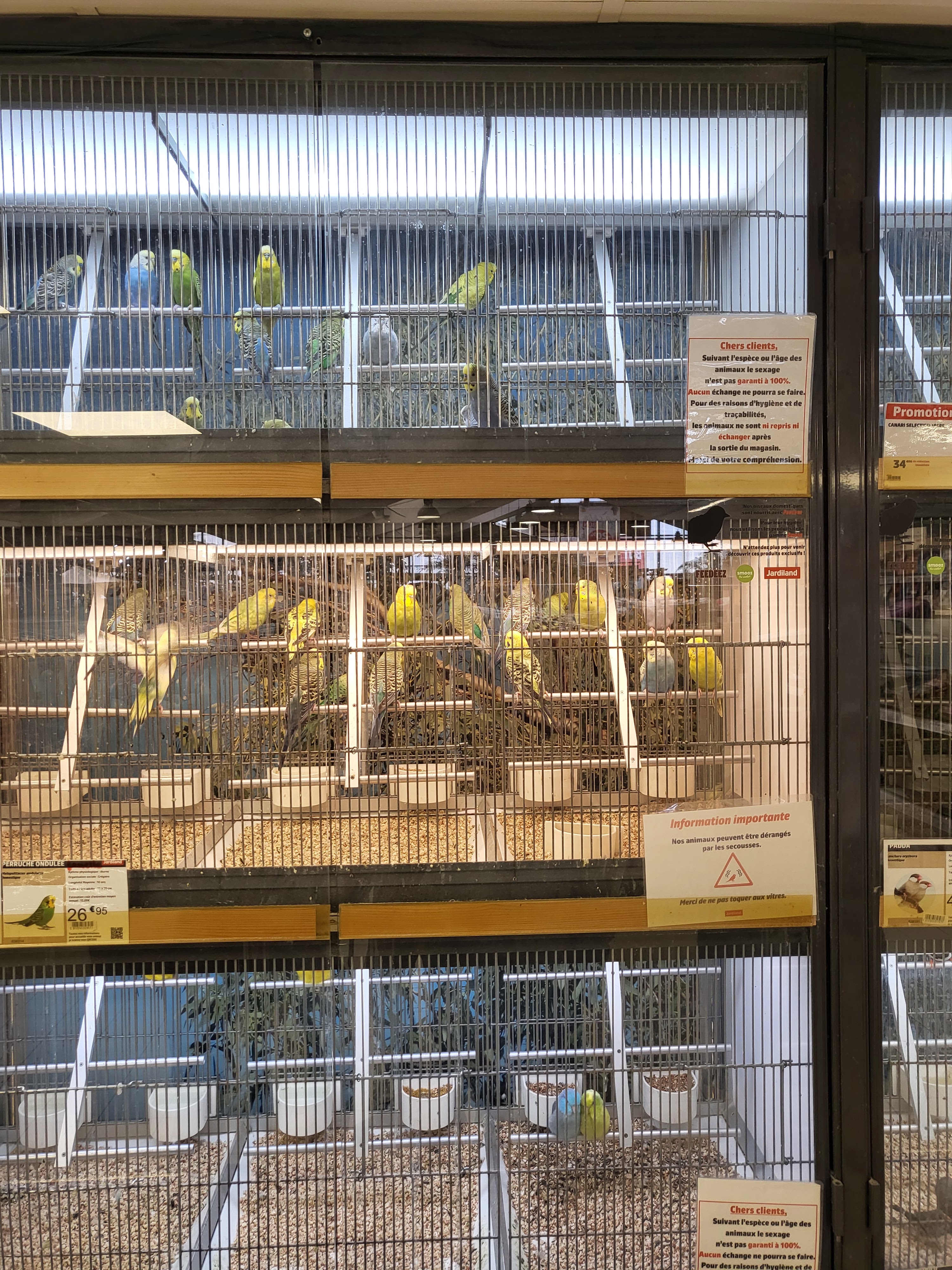 Photo n° 3 de l'avis de F. fait le 10/03/2024 à 17:16