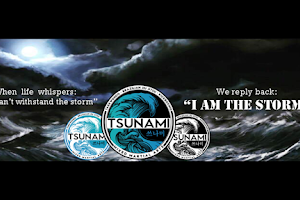 Tsunami Mixed Martial Arts image