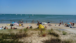 Rivedoux Plage'in fotoğrafı ve yerleşim