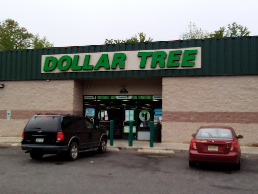 Dollar Store «Dollar Tree», reviews and photos, 399 E Broad St, Bridgeton, NJ 08302, USA