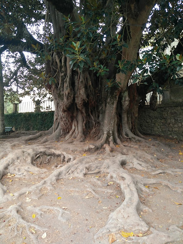 APPACDM Coimbra - Associação Portuguesa de Pais e Amigos Do Cidadão Deficiente Mental de Coimbra - Coimbra