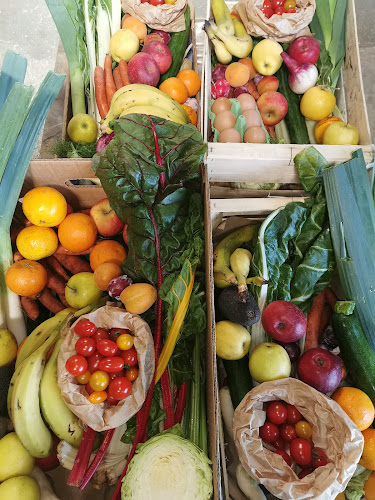 LE PANIER DE POMONE à LA TESTE DE BUCH