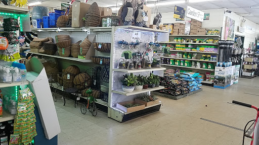 Garden Center «Westminster Nursery & Florist», reviews and photos, 30 Westminster Rd, West Hempstead, NY 11552, USA