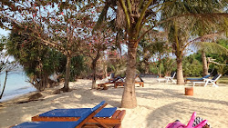 Photo de Palm Beach avec rivage droit, long