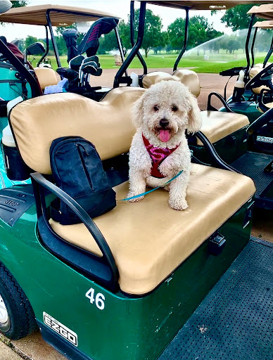 Public Golf Course «Morris Williams Golf Course», reviews and photos, 3851 Manor Rd, Austin, TX 78723, USA