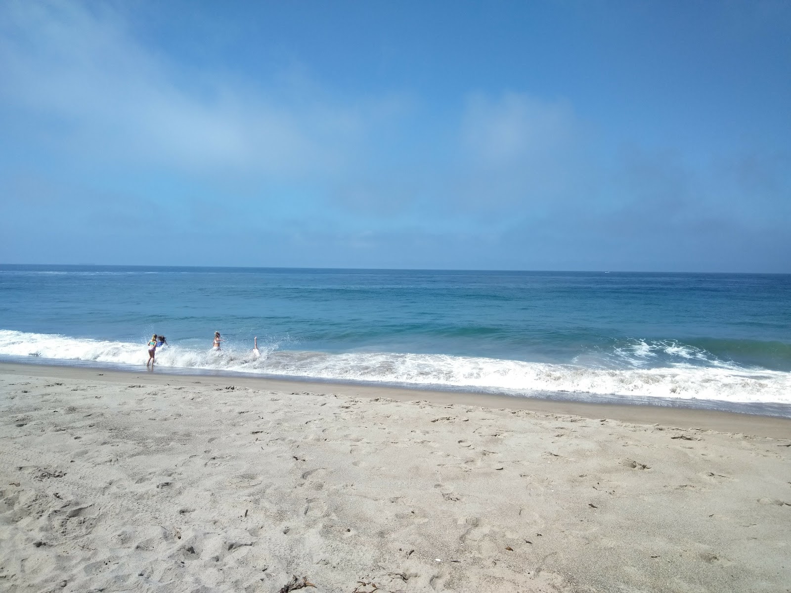 Photo of Point Dume Beach with very clean level of cleanliness