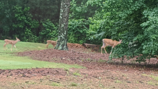 Golf Club «Lane Creek Golf Club», reviews and photos, 1201 Club Dr, Bishop, GA 30621, USA