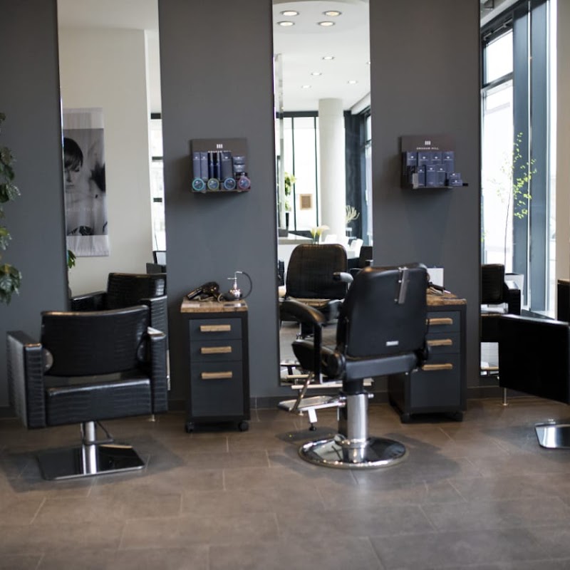 ART CONCEPT FRISEURE