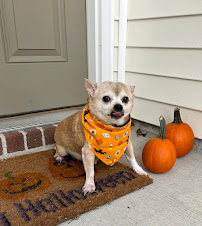 Urgent Pet Care of Savannah - Photo 9 - Car repair in Savannah, GA, Savannah