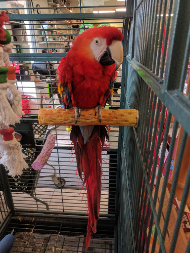 Pet Store «Suncoast Pets», reviews and photos, 7117 US-98, Panama City Beach, FL 32407, USA