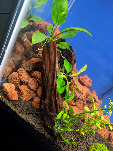 Pet Supply Store «Odyssey Pets», reviews and photos, 14999 Preston Rd #400a, Dallas, TX 75254, USA