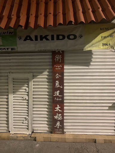Aikido Mexico Aiki Calli
