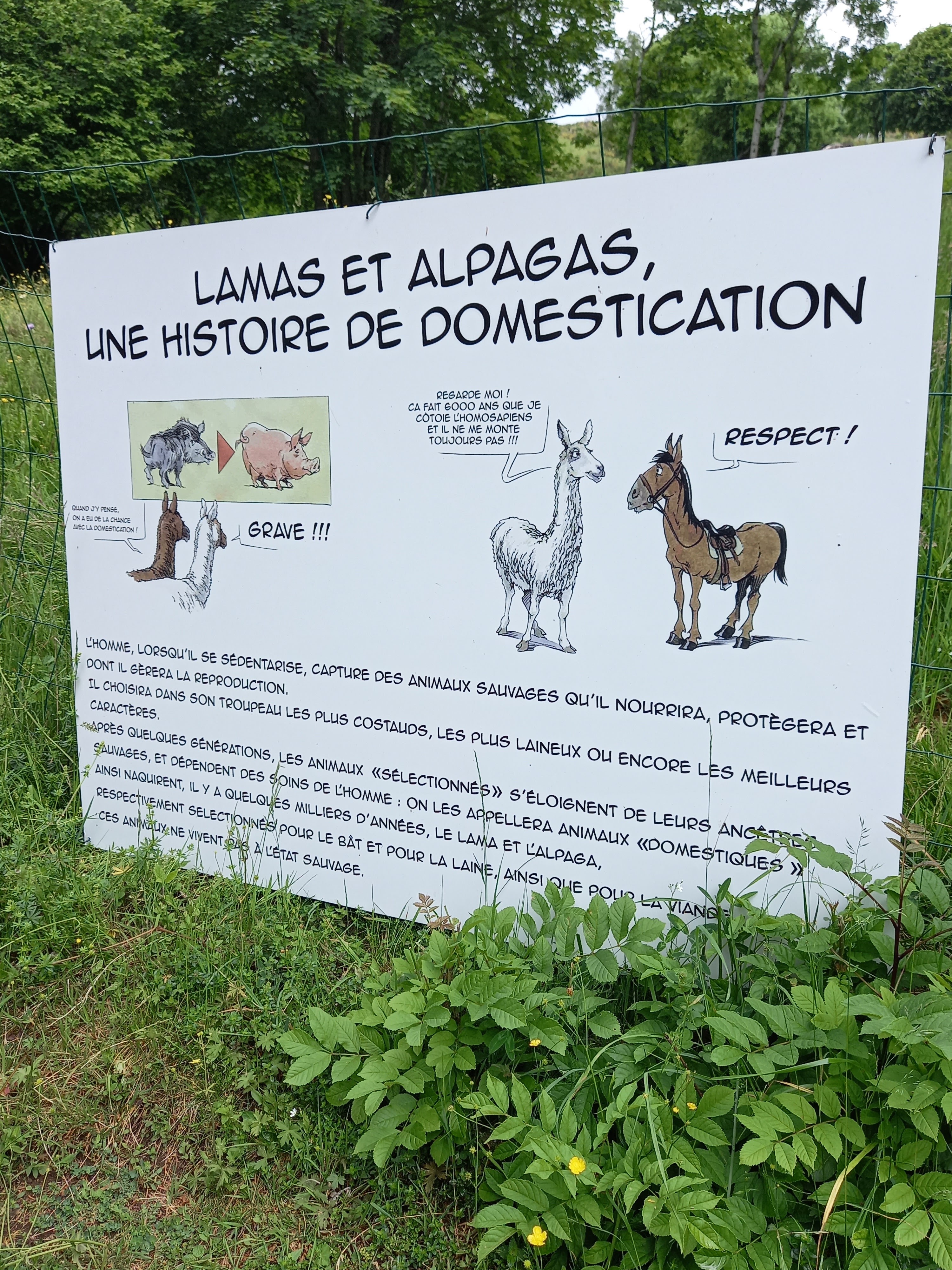 Photo n° 26 de l'avis de durduret.i fait le 06/06/2022 à 14:20