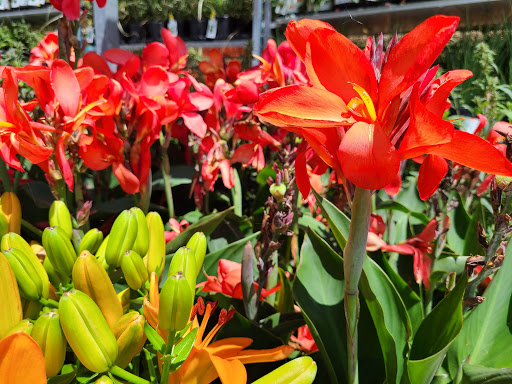 Home Improvement Store «The Home Depot», reviews and photos, 9570 US-20, Perrysburg, OH 43551, USA