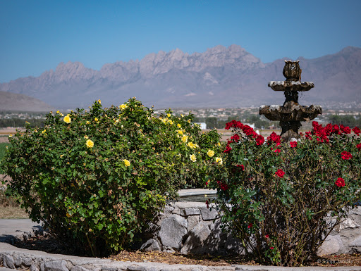 Vineyard «Rio Grande Vineyard & Winery», reviews and photos, 5321 NM-28, Las Cruces, NM 88005, USA