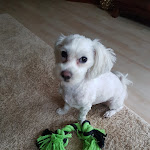 Photo n°1 de l'avis de Klaus.i fait le 05/10/2019 à 16:55 sur le  Zur Mühle à Springe