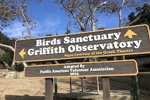 Bird Sanctuary Griffith Park image