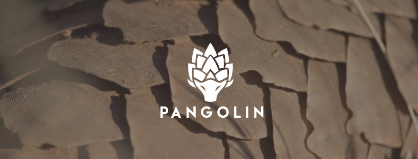 Pangolin Pest Control Service