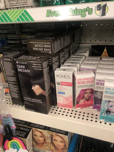 Dollar Store «Dollar Tree», reviews and photos, 35769 Van Born Rd, Romulus, MI 48174, USA