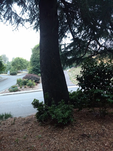 Park «Tukwila Park», reviews and photos, 15460 65th Ave S, Tukwila, WA 98188, USA