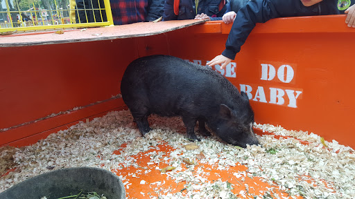 Museum «Queens County Farm Museum», reviews and photos, 73-50 Little Neck Pkwy, Queens, NY 11004, USA