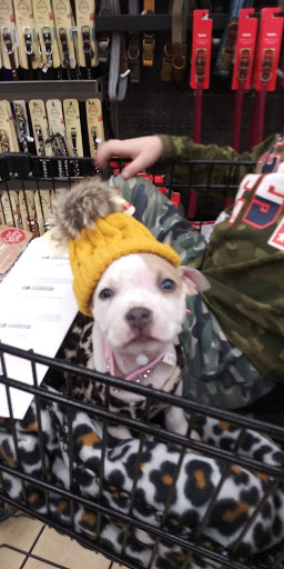 Pet Supply Store «Petco Animal Supplies», reviews and photos, 8213 Hwy 72 W c, Madison, AL 35758, USA