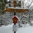 Sears Pond State Forest