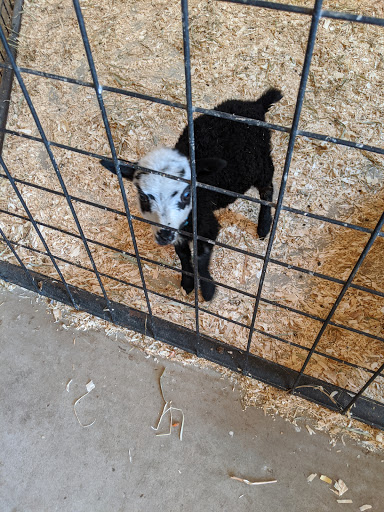 Water Park «Monsoon Lagoon Watering Hole Safari & Waterpark», reviews and photos, 1530 S Danbury Rd, Port Clinton, OH 43452, USA