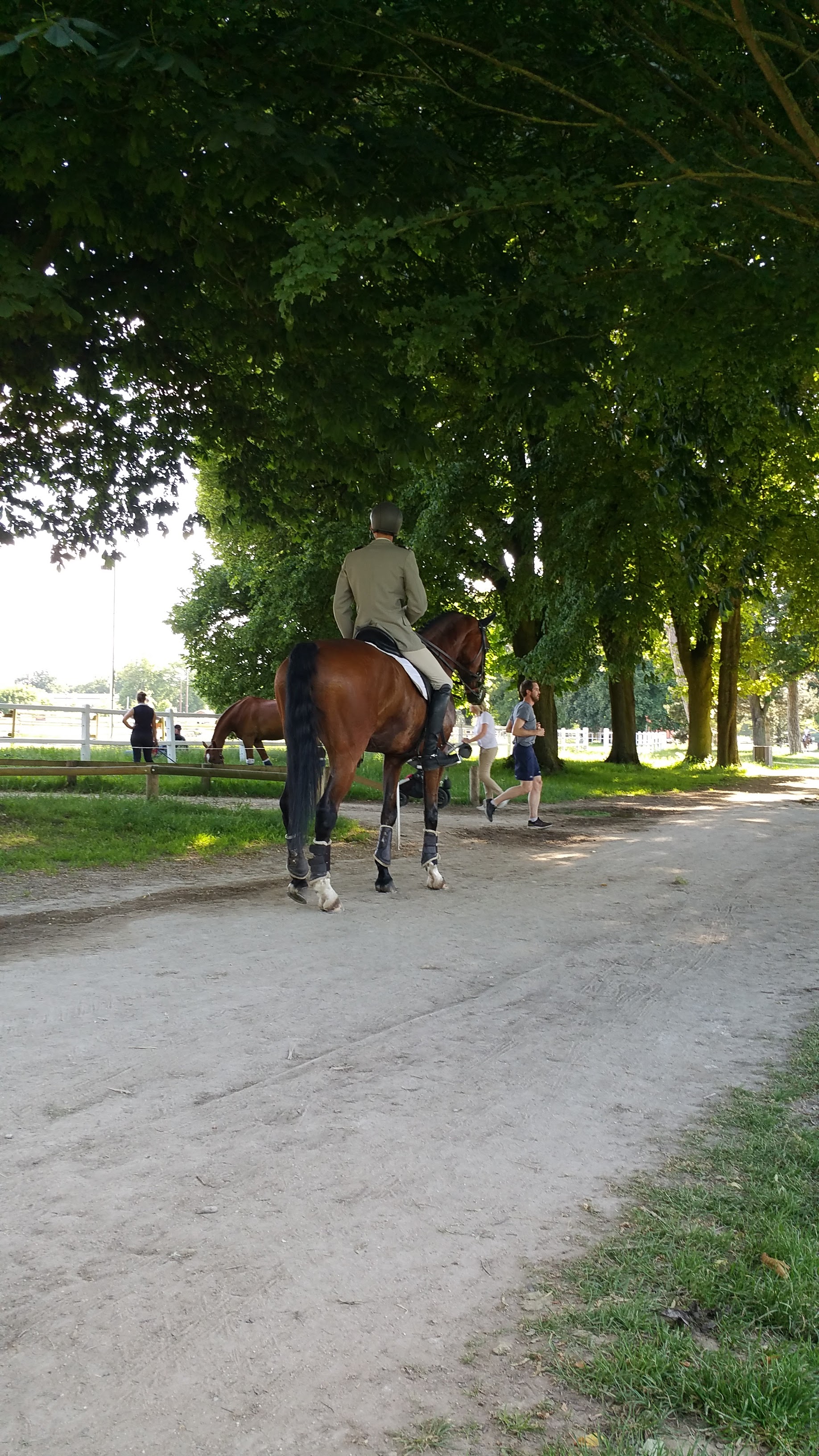 Photo n° 1 de l'avis de dom.h fait le 31/05/2019 à 17:28