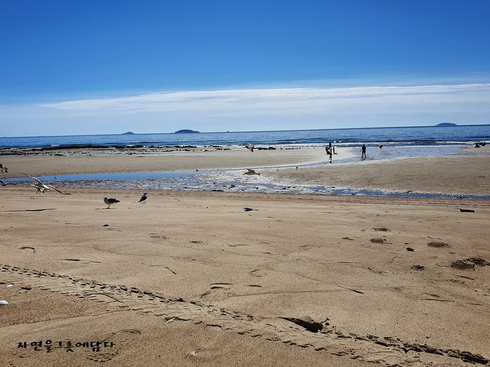 Photo de Kkotji Beach avec un niveau de propreté de très propre