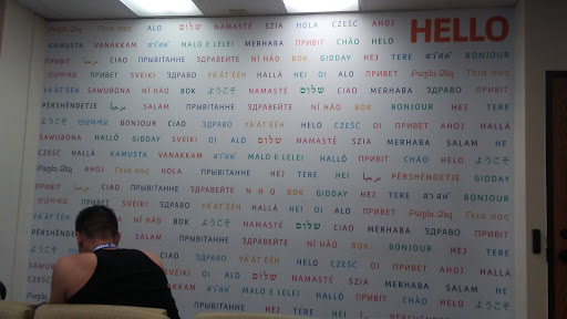 Non-Profit Organization «YMCA International Services المنظمه», reviews and photos