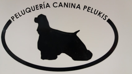 Peluqueria Canina Pelukis - Servicios para mascota en Cascante