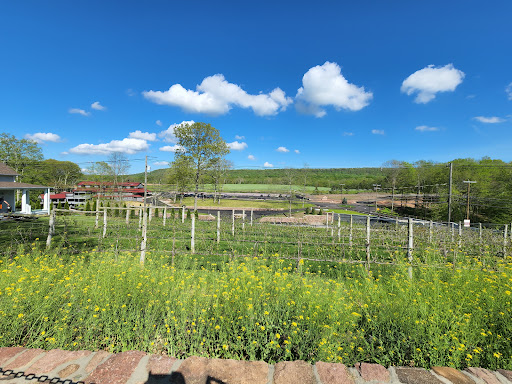 Vineyard «Rosabianca Vineyards», reviews and photos, 1536 Middletown Ave, Northford, CT 06472, USA