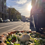 Photo n°1 de l'avis de Annkathrin.o fait le 08/11/2022 à 13:53 sur le  Only to napoli pizza service à Leipzig