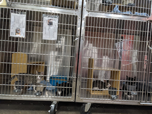 Pet Supply Store «PetSmart», reviews and photos, 13000 Aurora Ave N, Seattle, WA 98133, USA