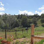 Photo n°4 de l'avis de paola.i fait le 29/07/2019 à 19:00 sur le  Agriturismo Piccolo Lago à Amatrice