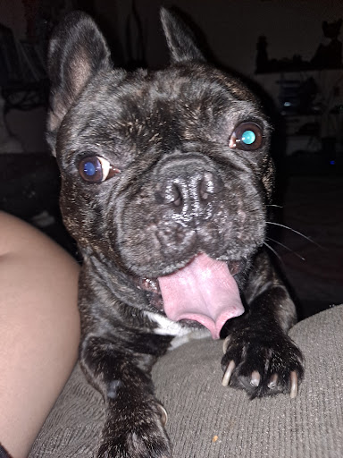 Jeweler «Icebox Diamonds & Watches», reviews and photos, 3255 Peachtree Rd #2, Atlanta, GA 30305, USA