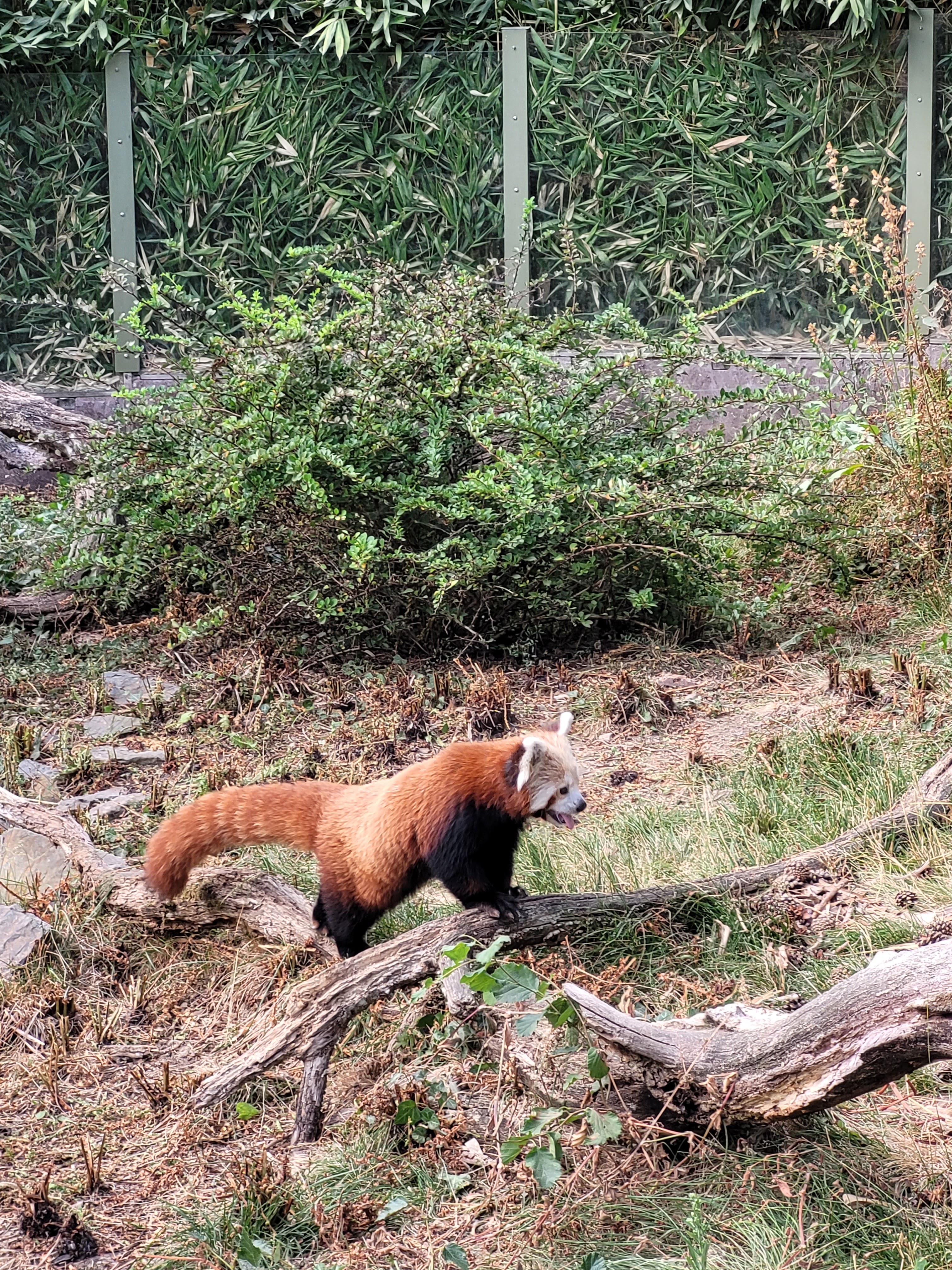Photo n° 2 de l'avis de Éden.e fait le 26/08/2022 à 18:06