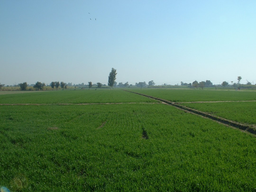 Punjab Agriculture Department