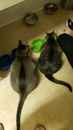 Pet Supply Store «Pet Supplies Plus», reviews and photos, 4923 Sheridan St, Hollywood, FL 33021, USA