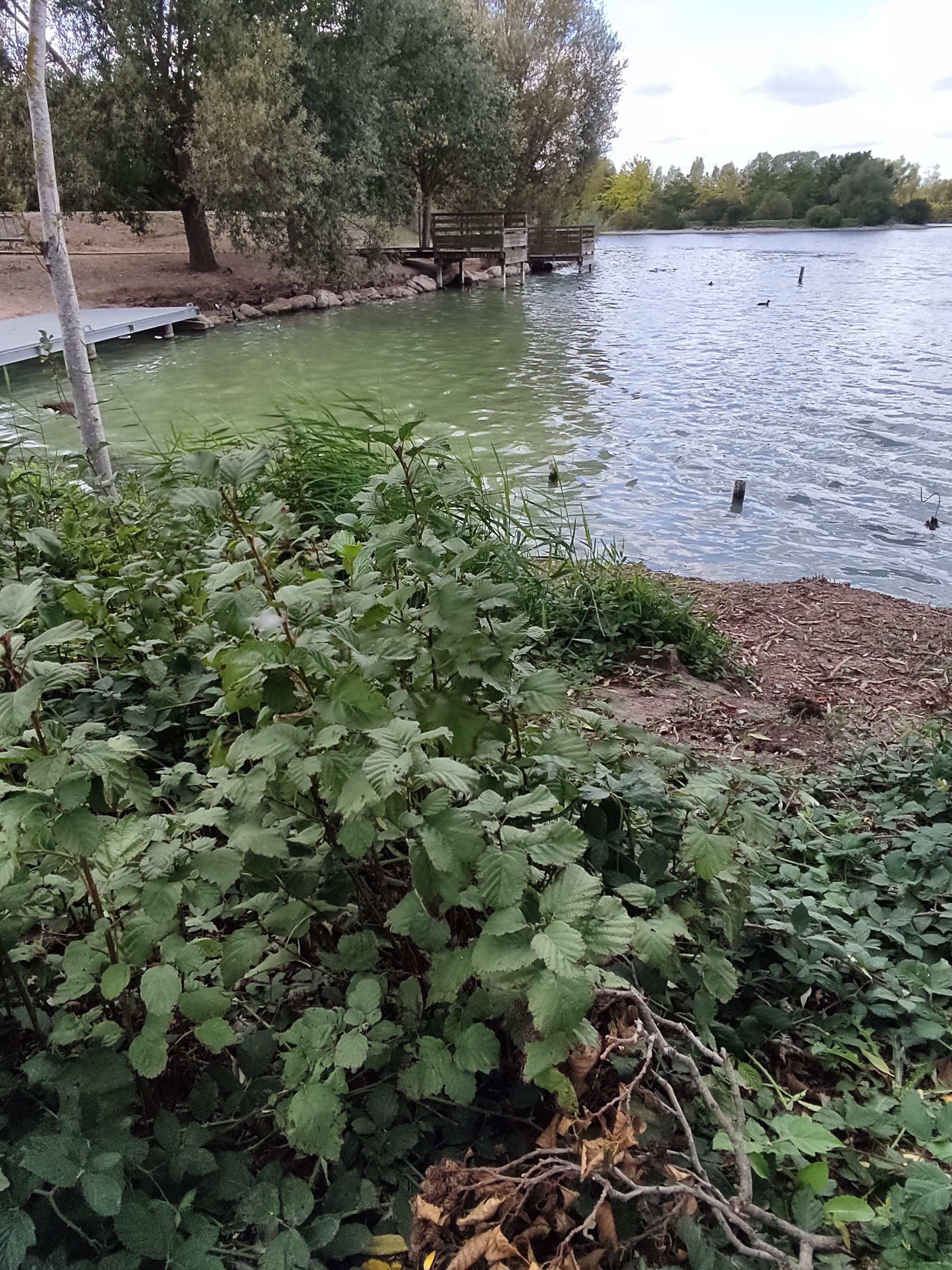 Photo n° 15 de l'avis de julien.a fait le 10/07/2021 à 07:26