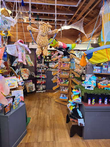 Toy Store «Why Not Toys», reviews and photos, 319 Gentry St, Spring, TX 77373, USA