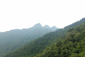 Tam Dao National Park image