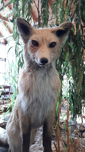 Museum «Lewis & Clark Boat House», reviews and photos, 1050 S Riverside Dr, St Charles, MO 63301, USA