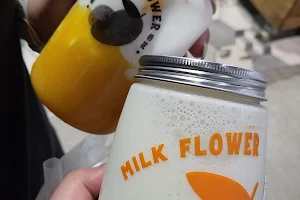 Milk Flower Bonnyrigg image