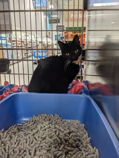 Pet Supply Store «PetSmart», reviews and photos, 13000 Aurora Ave N, Seattle, WA 98133, USA