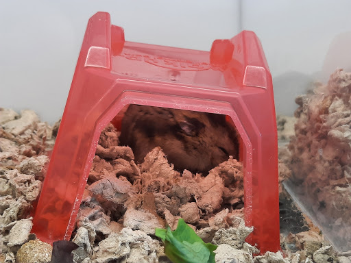 Pet Supply Store «Petco Animal Supplies», reviews and photos, 2080 Market Dr, Stillwater, MN 55082, USA