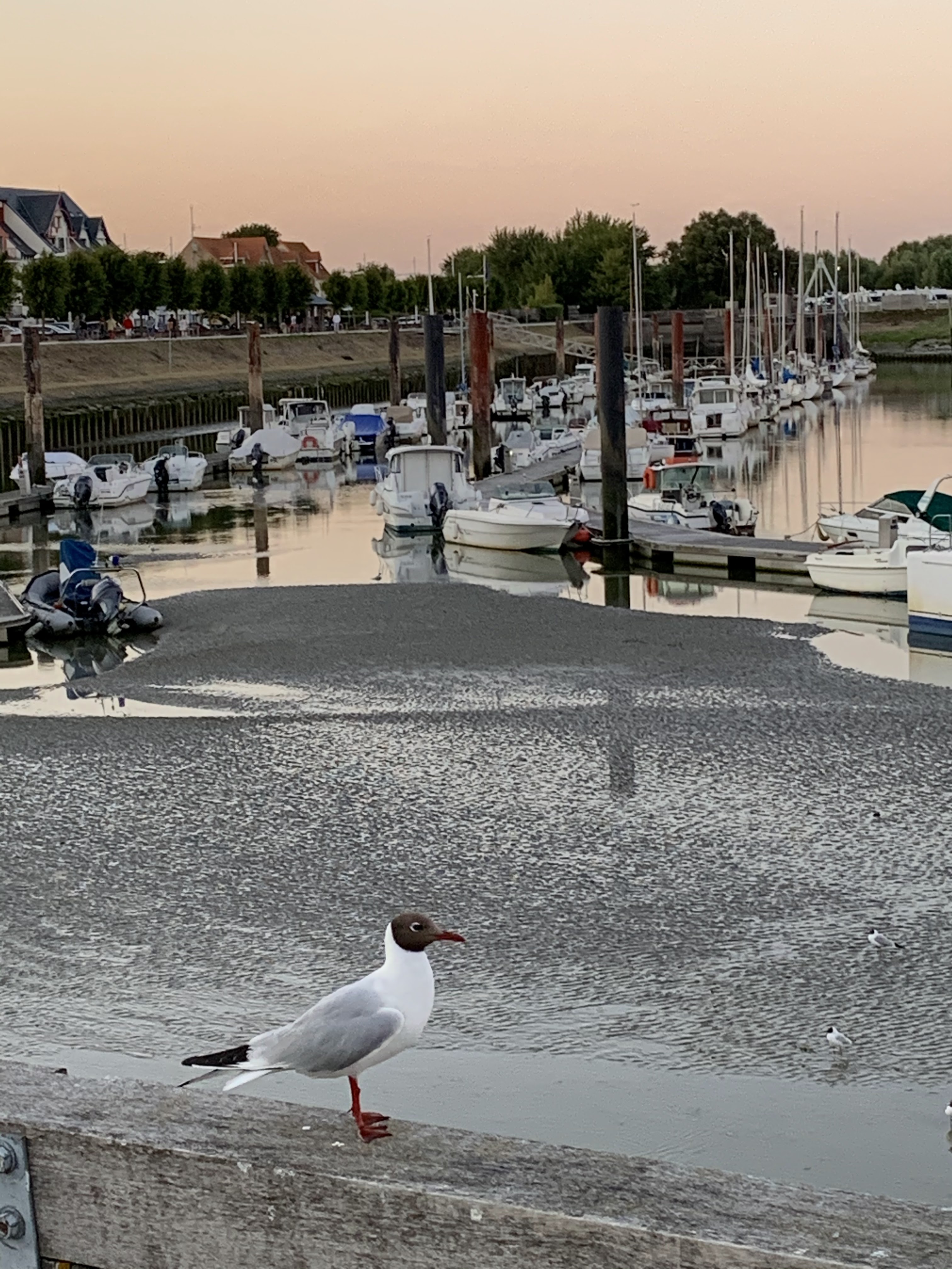 Photo n° 8 de l'avis de Gontran.e fait le 26/08/2020 à 16:22