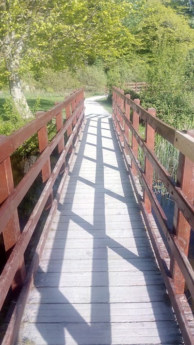 Photos of Curraghchase Forest Park